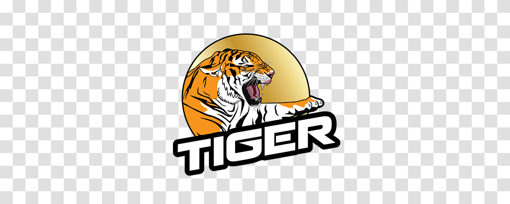 Tiger Nature, Wildlife, Animal, Mammal Transparent Png