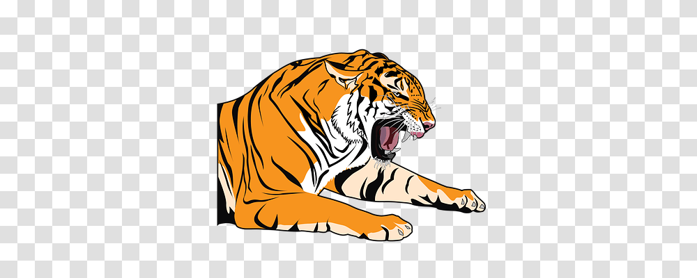 Tiger Nature, Wildlife, Mammal, Animal Transparent Png