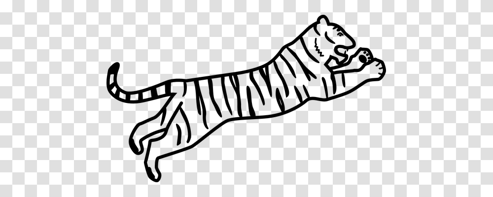 Tiger Nature, Gray, World Of Warcraft Transparent Png