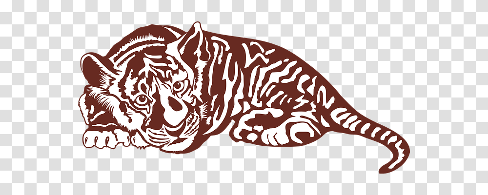 Tiger Person, Animal, Plant, Label Transparent Png