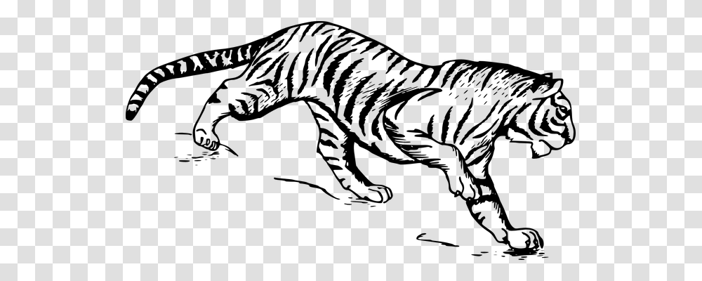 Tiger Technology, Gray, World Of Warcraft Transparent Png