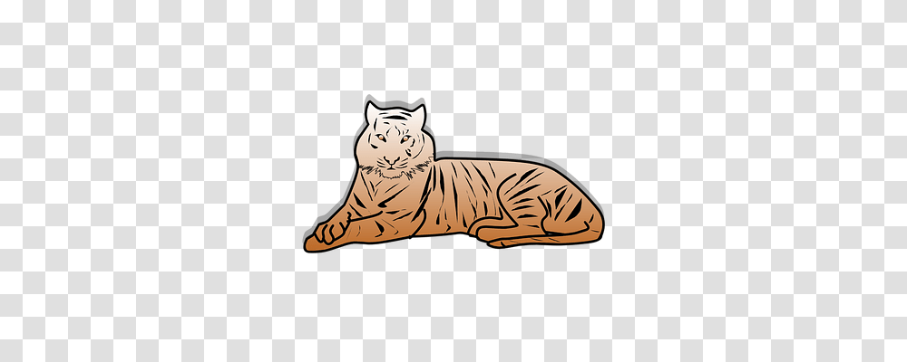 Tiger Animals, Wildlife, Mammal Transparent Png