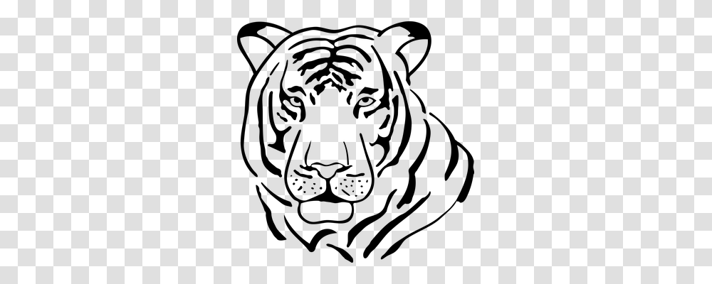 Tiger Nature, Gray, World Of Warcraft Transparent Png