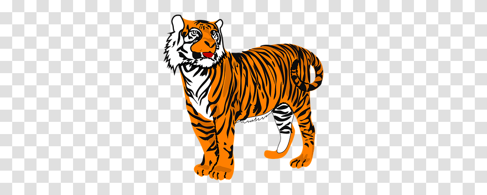 Tiger Animals, Wildlife, Mammal, Zebra Transparent Png