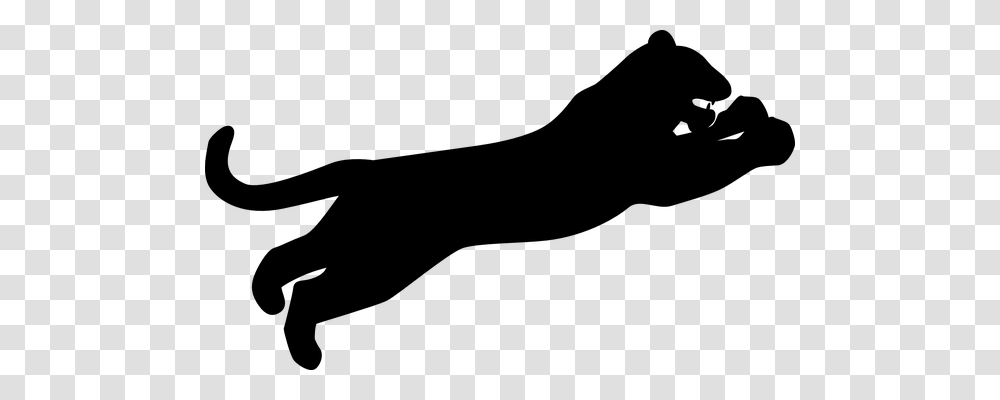 Tiger Nature, Gray, World Of Warcraft Transparent Png