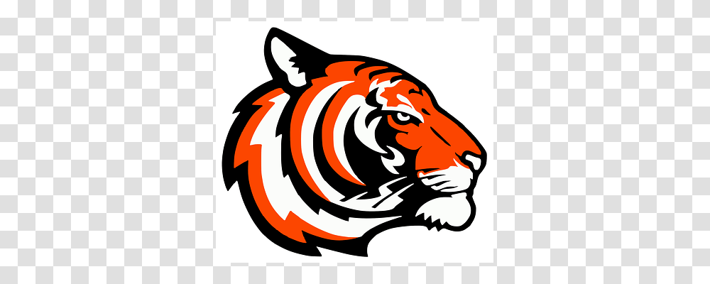 Tiger Food, Animal, Outdoors Transparent Png