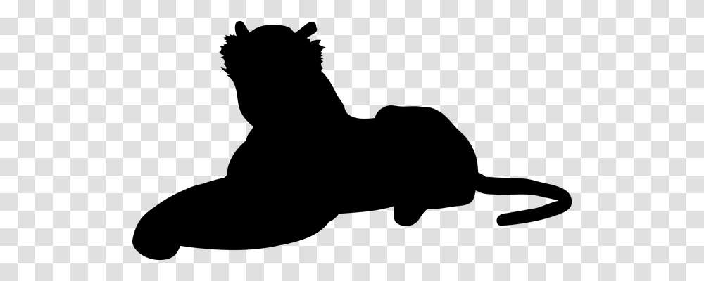 Tiger Nature, Gray, World Of Warcraft Transparent Png