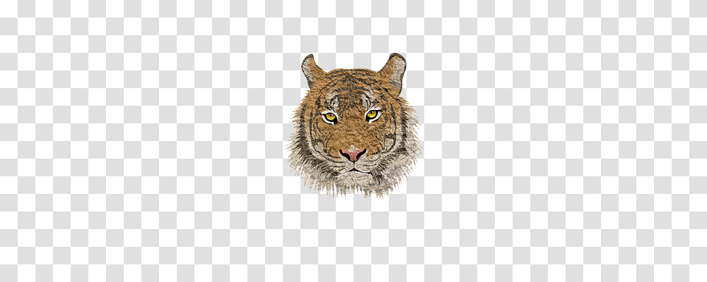 Tiger Nature, Mammal, Animal, Wildlife Transparent Png