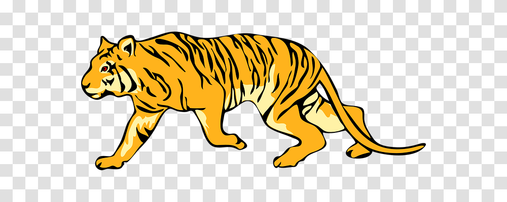 Tiger Animals, Wildlife, Mammal, Zebra Transparent Png