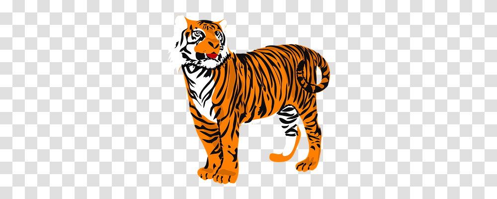 Tiger Animals, Wildlife, Mammal, Zebra Transparent Png