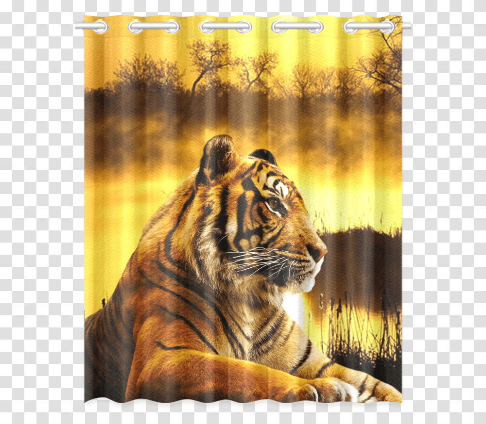 Tiger And Sunset New Window Curtain London Zoo, Wildlife, Mammal, Animal Transparent Png