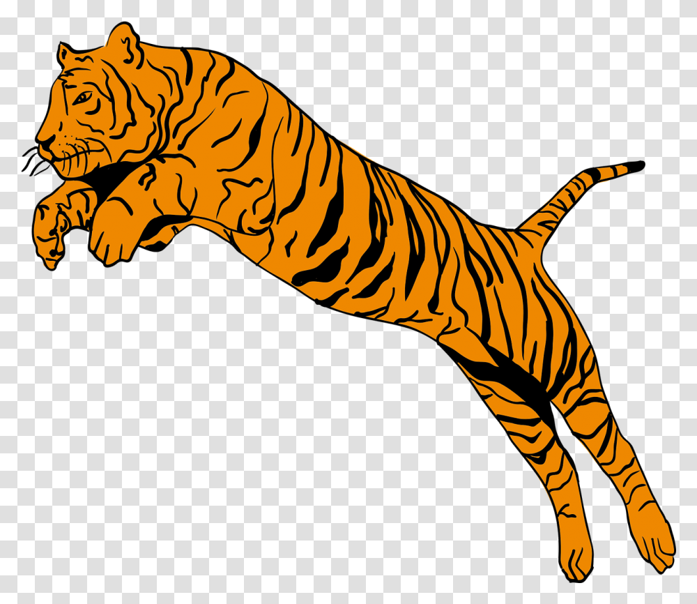 Tiger Animal Jump Free Vector Graphic On Pixabay Tiger Jump Clipart, Wildlife, Mammal, Zebra Transparent Png