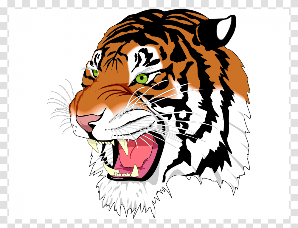 Tiger, Animals, Wildlife, Mammal, Person Transparent Png