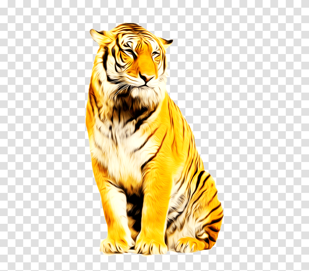 Tiger Animation Photoscape Tiger Download 539860 Background Tiger, Wildlife, Mammal, Animal Transparent Png