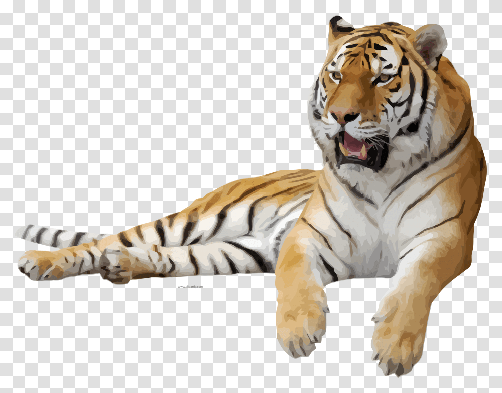 Tiger Background, Wildlife, Mammal, Animal, Person Transparent Png