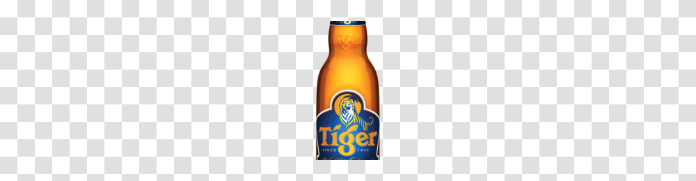 Tiger Beer Bottle Image, Alcohol, Beverage, Drink, Lager Transparent Png
