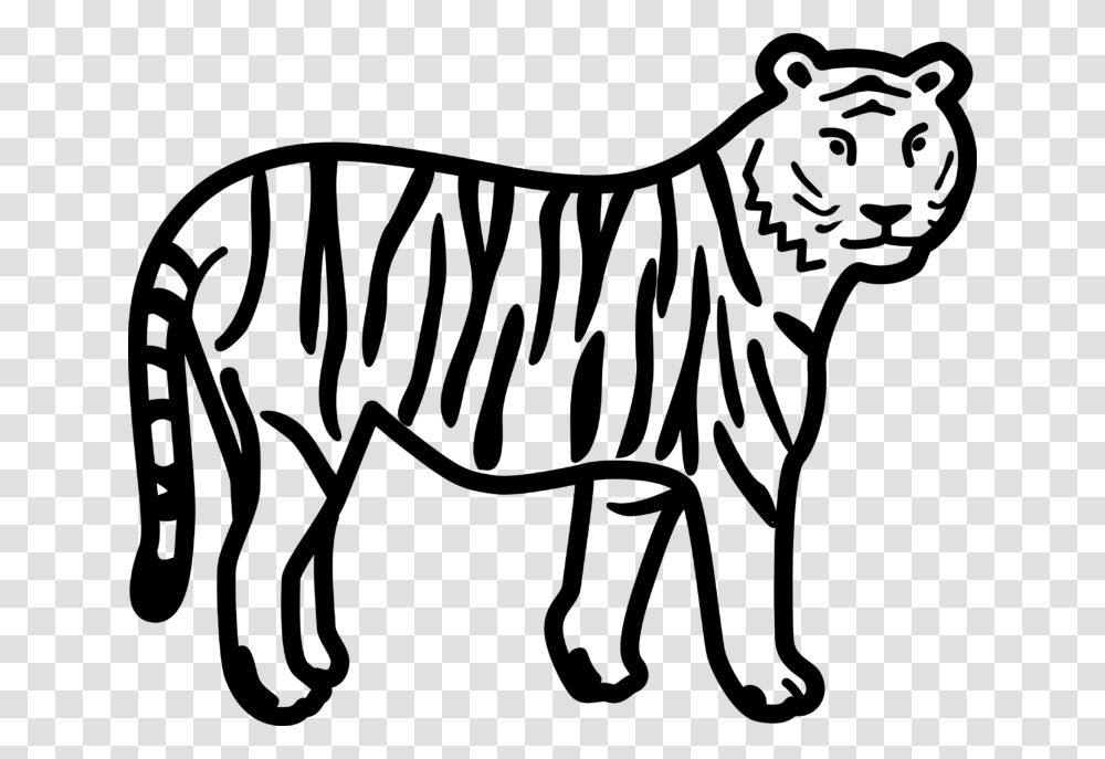 Tiger Black And White Tiger Face Clip Art Black And White Free, Gray Transparent Png