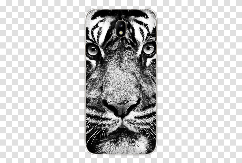 Tiger Black Wallpaper 4k Phone, Wildlife, Animal, Mammal, Cat Transparent Png
