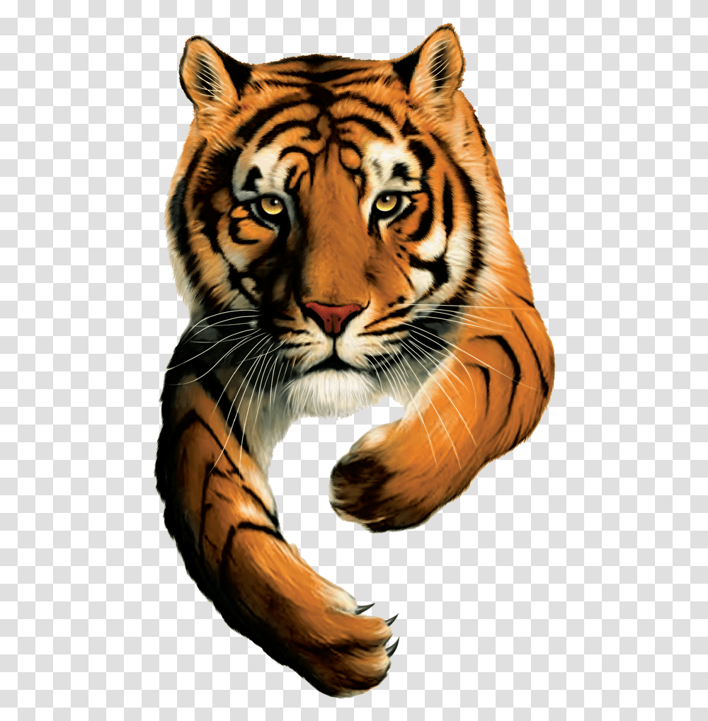 Tiger Brands Logo Tiger Brands Ltd Logo, Wildlife, Mammal, Animal Transparent Png