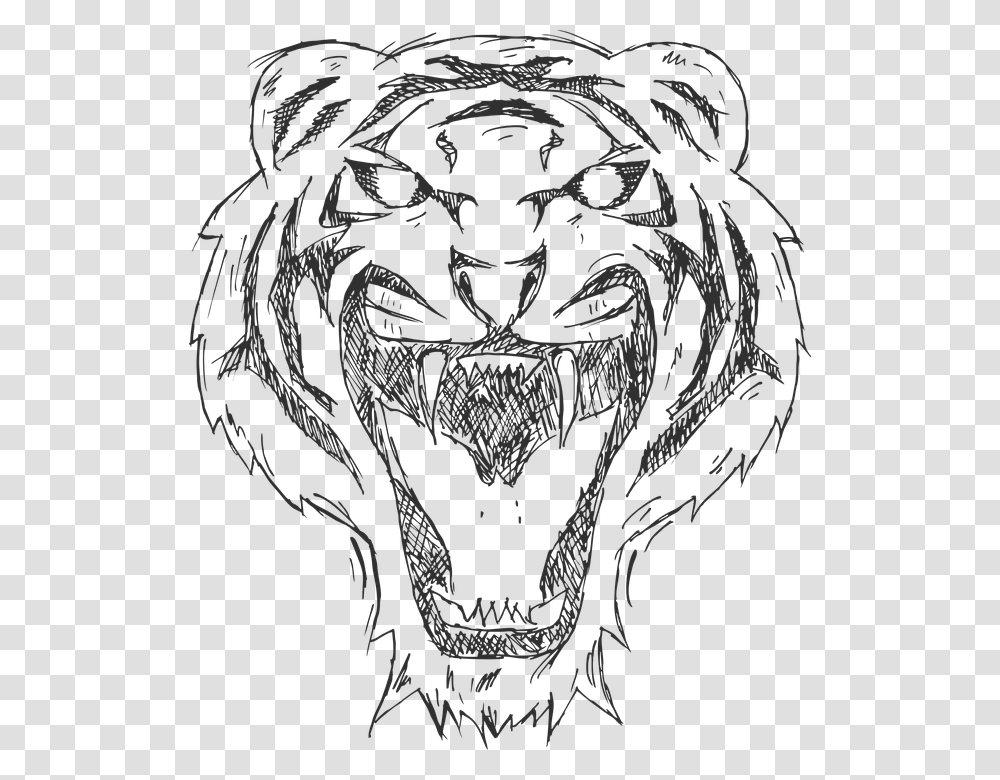 Tiger Cartoon Animal Illustration Black White White Tiger Arts, Stencil Transparent Png