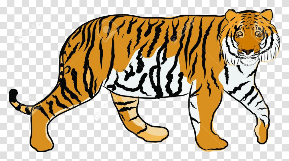 Tiger Cartoon Clipart Niml Jungle Free Cliparts Hand Drawn Picture Of A Tiger, Mammal, Animal, Wildlife, Zebra Transparent Png