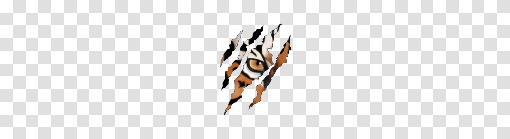 Tiger Claw Cheetah Clip Art Griffure, Invertebrate, Animal, Insect, Person Transparent Png