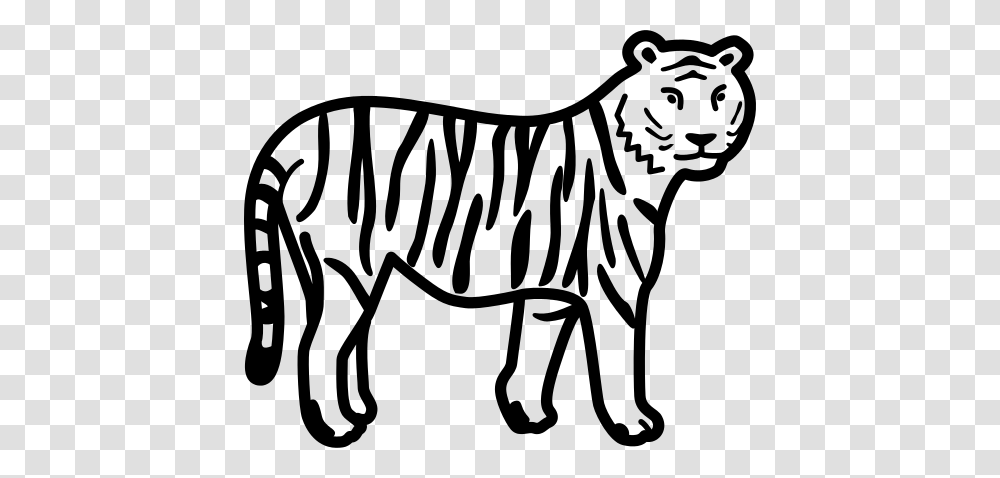 Tiger Clip Art, Gray, World Of Warcraft Transparent Png