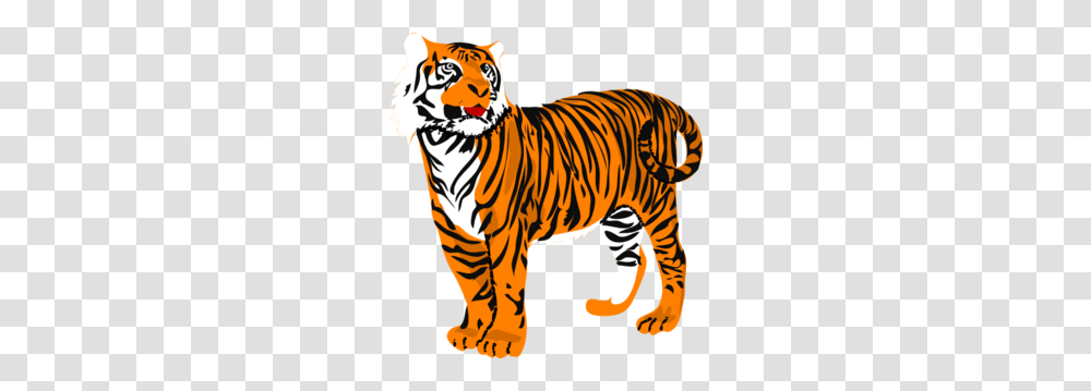 Tiger Clip Art, Wildlife, Mammal, Animal, Zebra Transparent Png