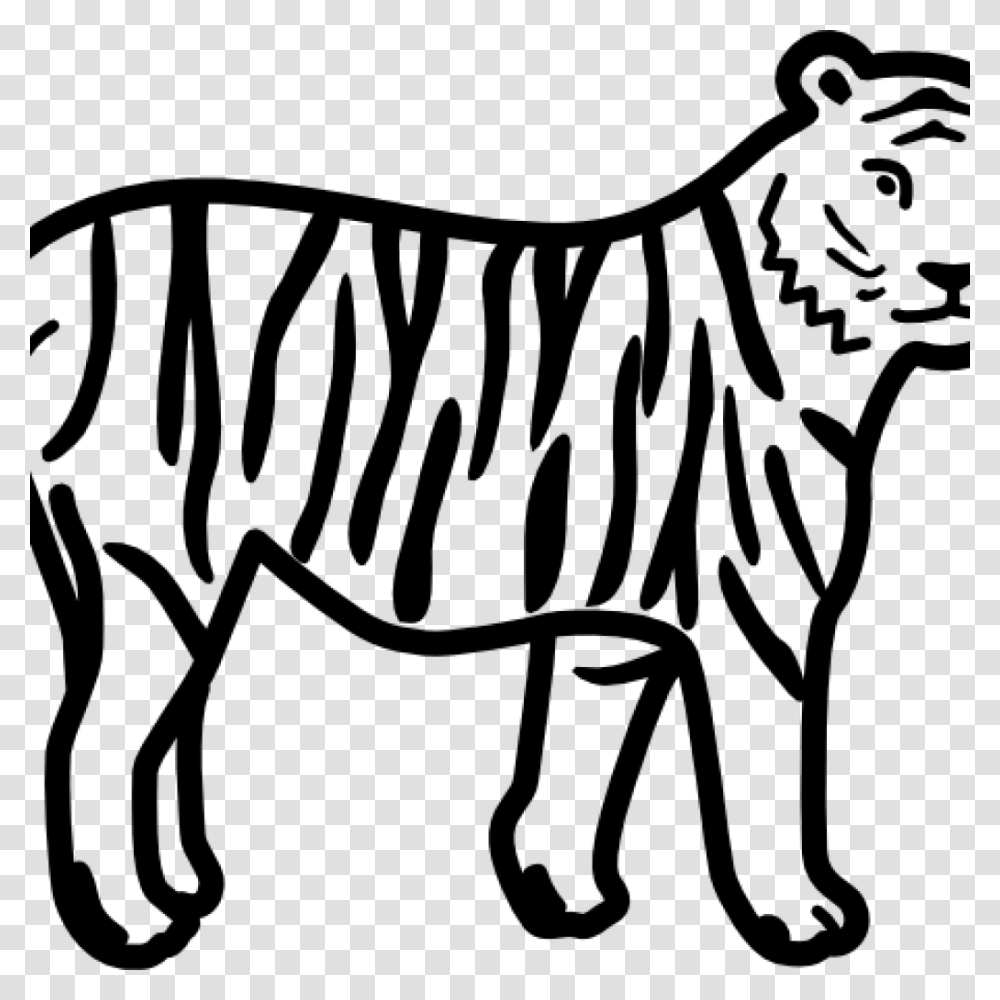 Tiger Clipart Black And White Fish Clipart House Clipart Online, Gray, World Of Warcraft Transparent Png