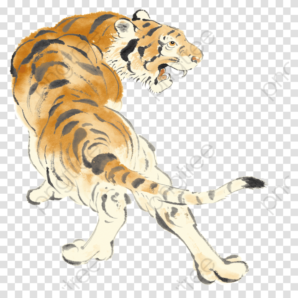 Tiger Clipart Clip Art, Wildlife, Mammal, Animal Transparent Png