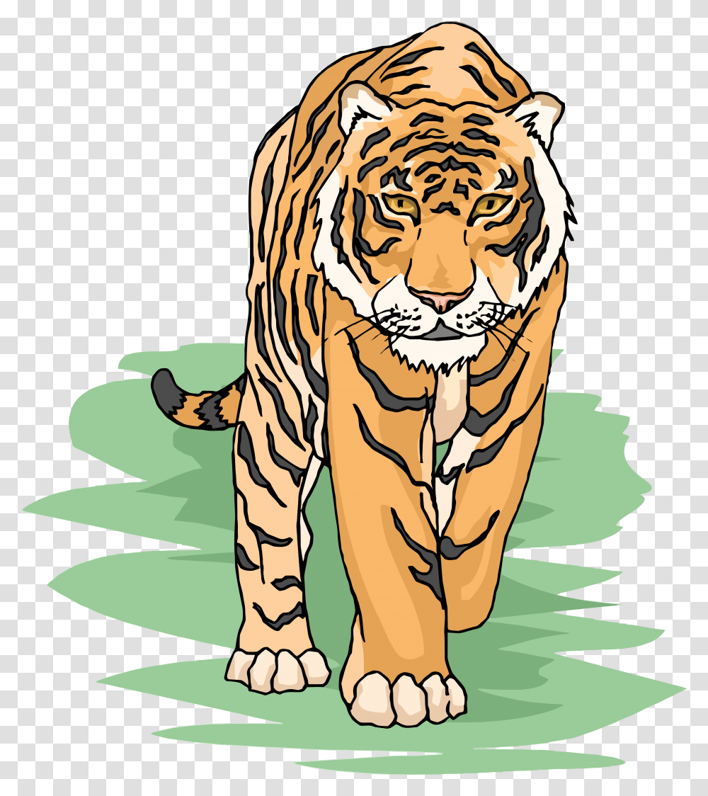 Tiger Clipart Cliparts And Others Art Inspiration, Wildlife, Mammal, Animal Transparent Png