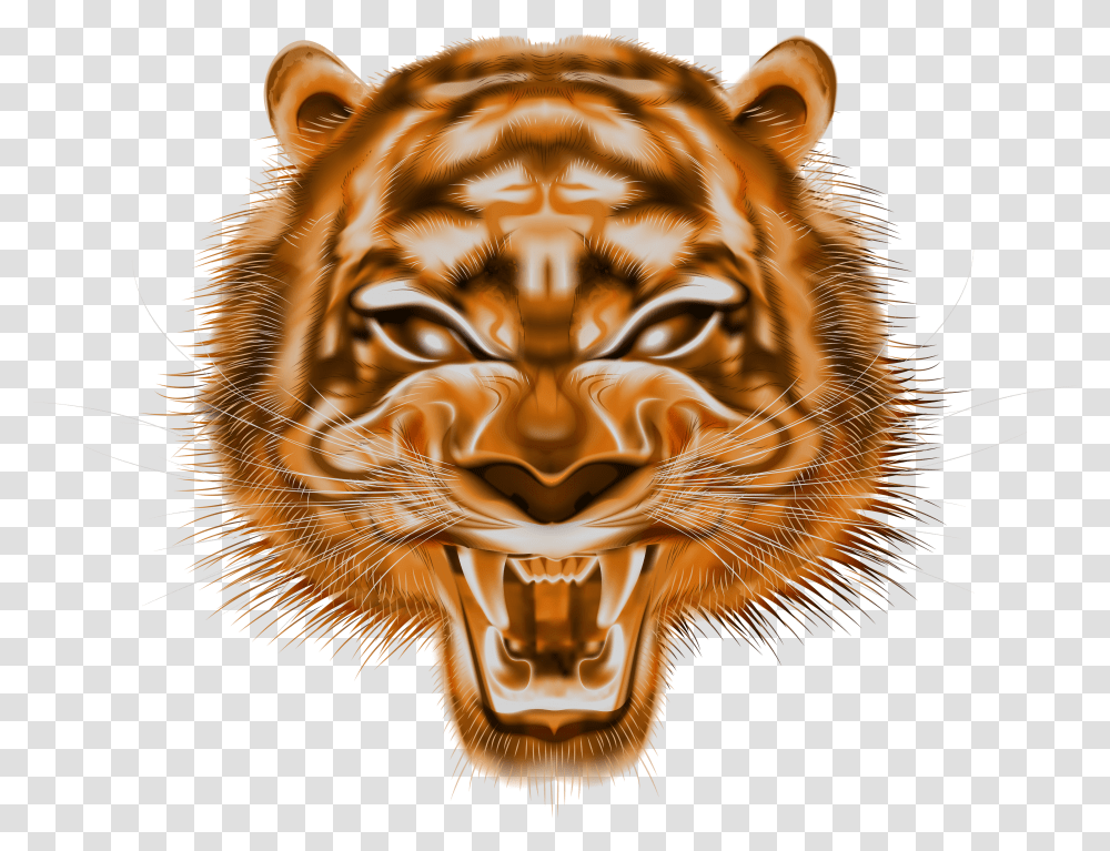 Tiger Clipart High Resolution Siberian Tiger Transparent Png