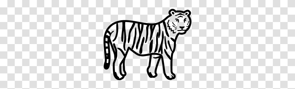 Tiger Coloring, Gray, World Of Warcraft Transparent Png