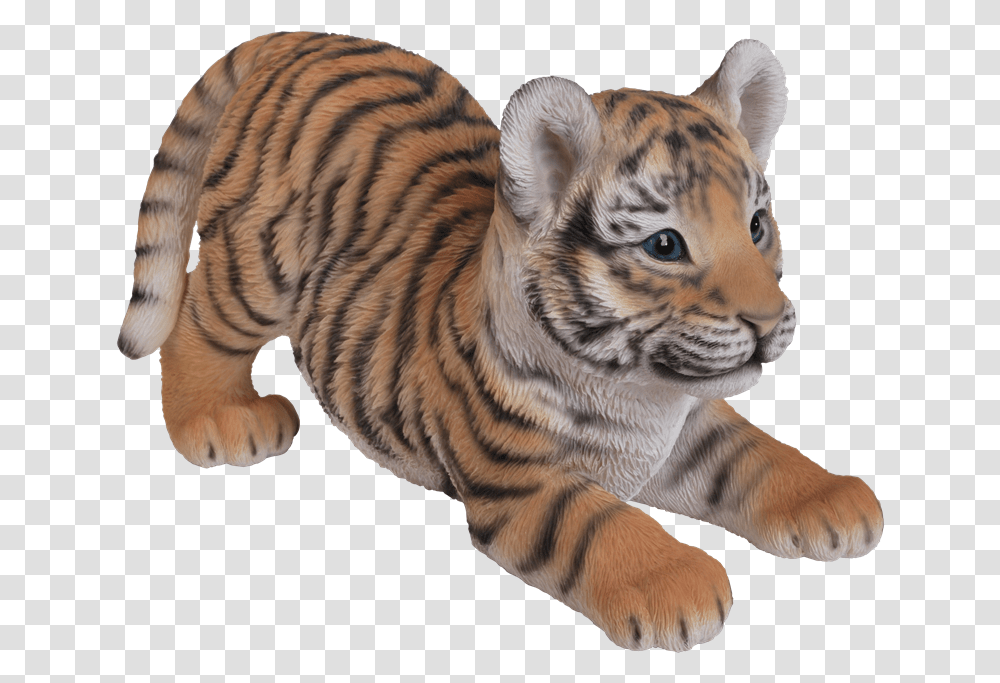 Tiger Cub Real Baby Tiger, Wildlife, Mammal, Animal Transparent Png