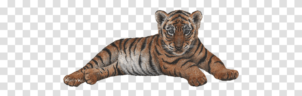 Tiger Cub Tiger Cub, Wildlife, Mammal, Animal Transparent Png
