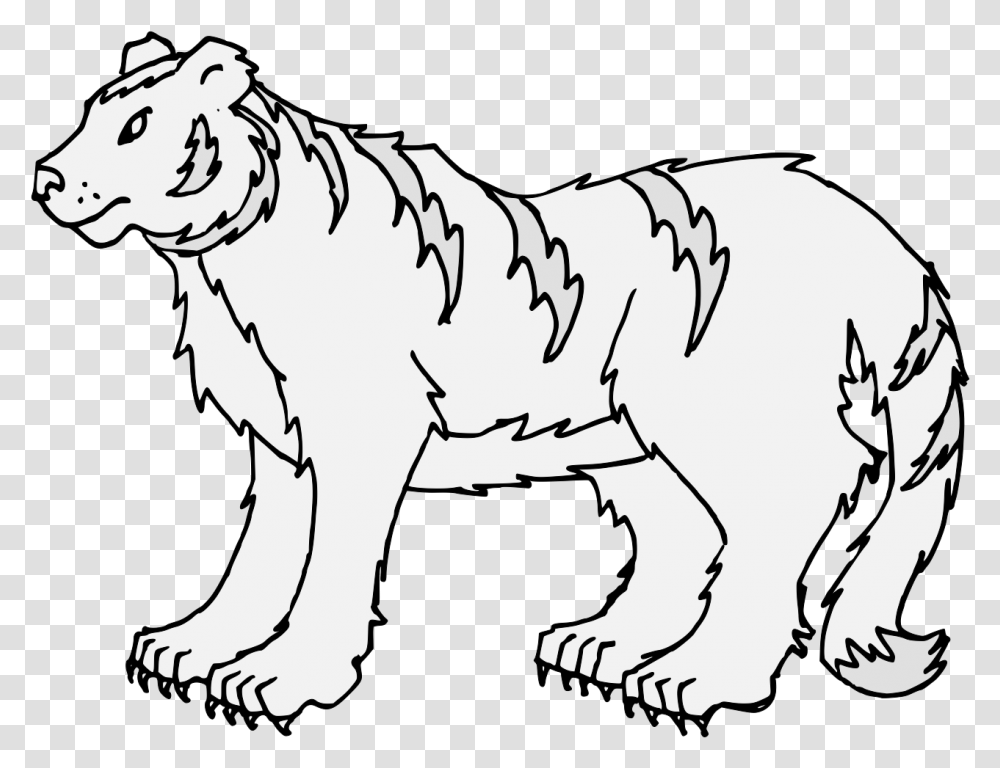 Tiger Download, Mammal, Animal, Wildlife, Person Transparent Png