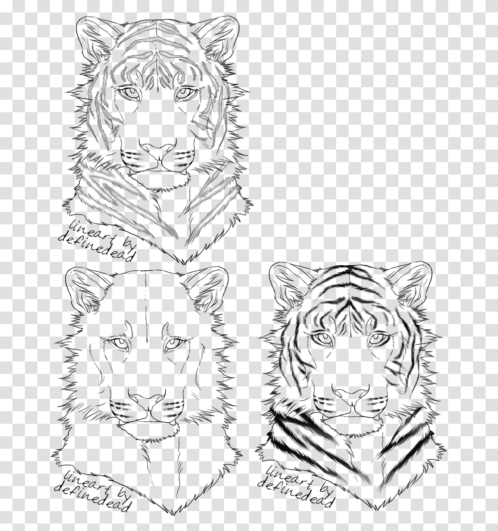 Tiger Eyes Lineart, Drawing, Person, Mammal, Animal Transparent Png