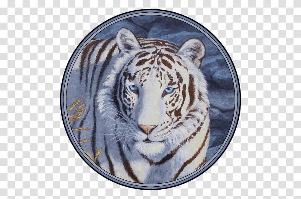 Tiger Eyes, Wildlife, Mammal, Animal Transparent Png