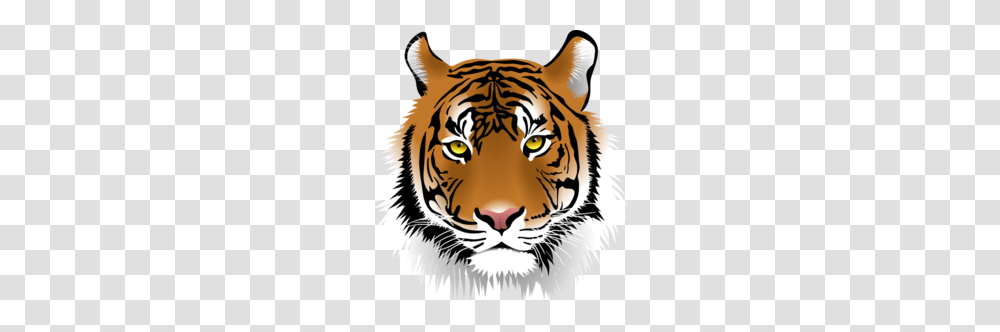 Tiger Face Clipart, Wildlife, Mammal, Animal Transparent Png