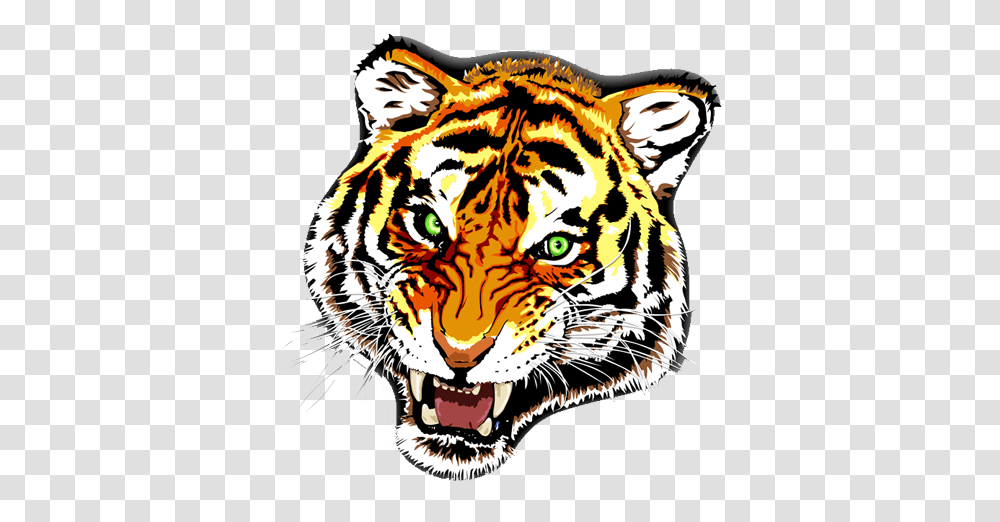 Tiger Face Image Background Arts, Wildlife, Mammal, Animal Transparent Png