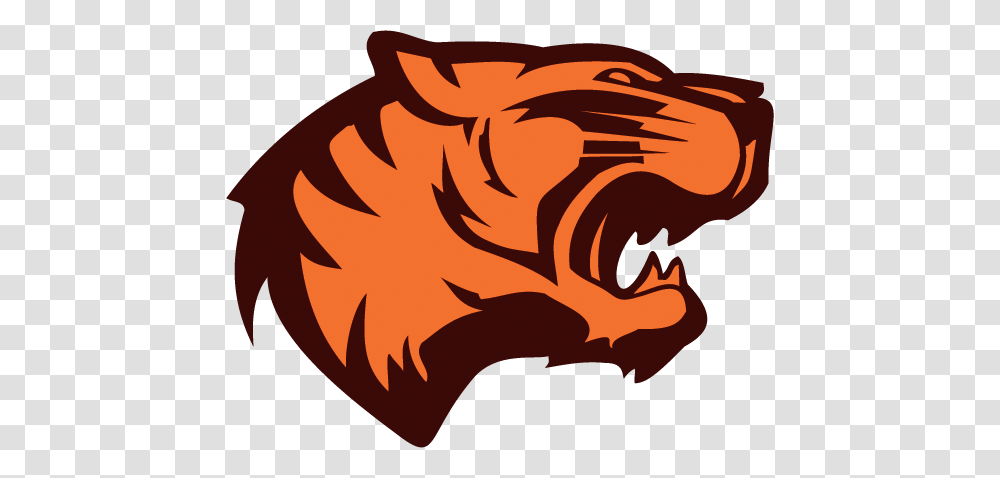 Tiger Face Image, Plant, Tree, Food Transparent Png