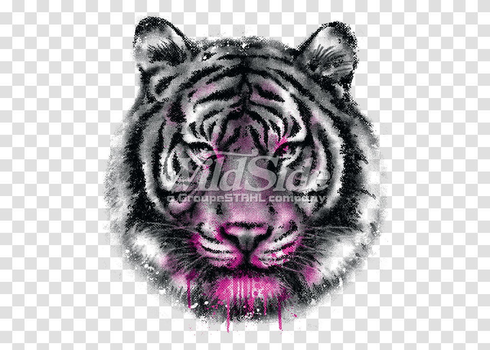 Tiger Face Tiger Face De Cara De Tigre, Person, Purple, Mammal, Animal Transparent Png