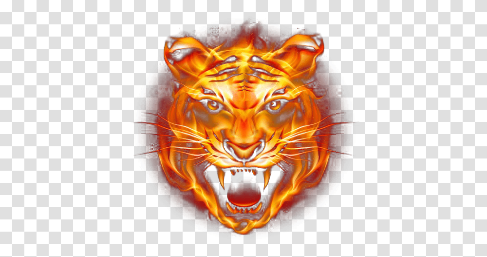 Tiger Fire Fierce Download Free Clipart Tiger Face Hd, Bonfire, Flame, Animal, Wildlife Transparent Png