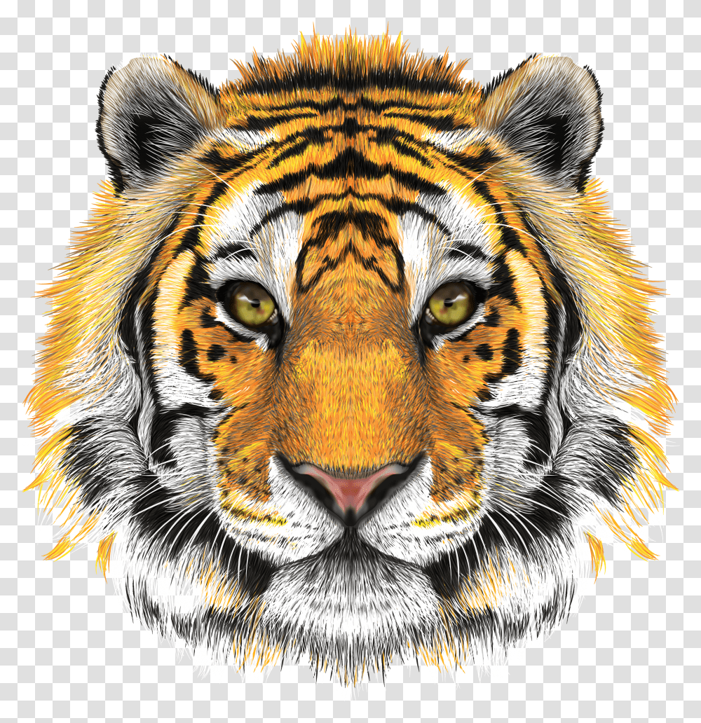 Tiger Head Background Tiger Face Hd Transparent Png