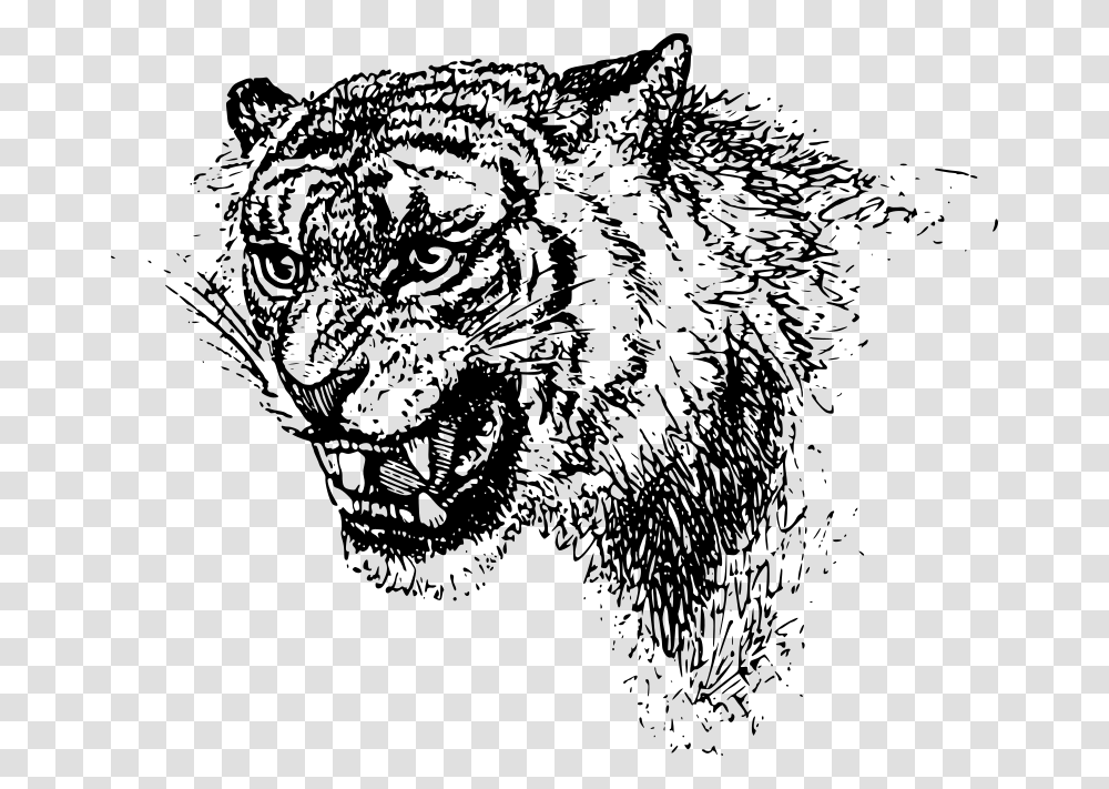 Tiger Head Black Clip Art Tiger Free, Gray, World Of Warcraft Transparent Png