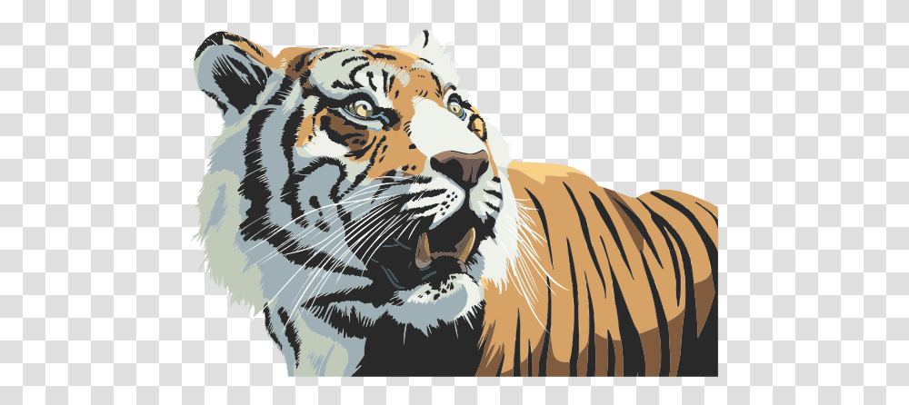 Tiger Head Illustration Tiger, Wildlife, Mammal, Animal, Zebra Transparent Png