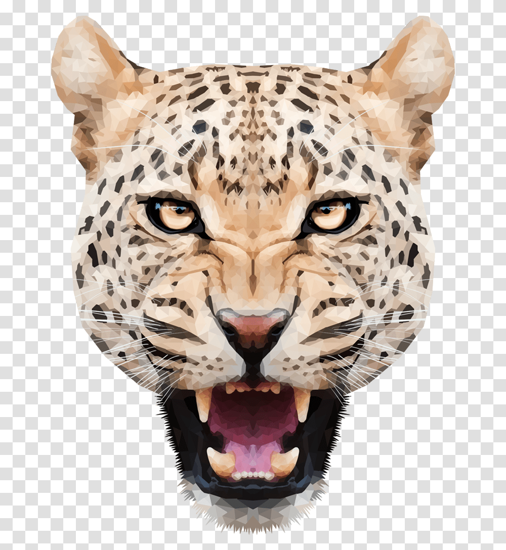 Tiger Head Leopar, Cheetah, Wildlife, Mammal, Animal Transparent Png