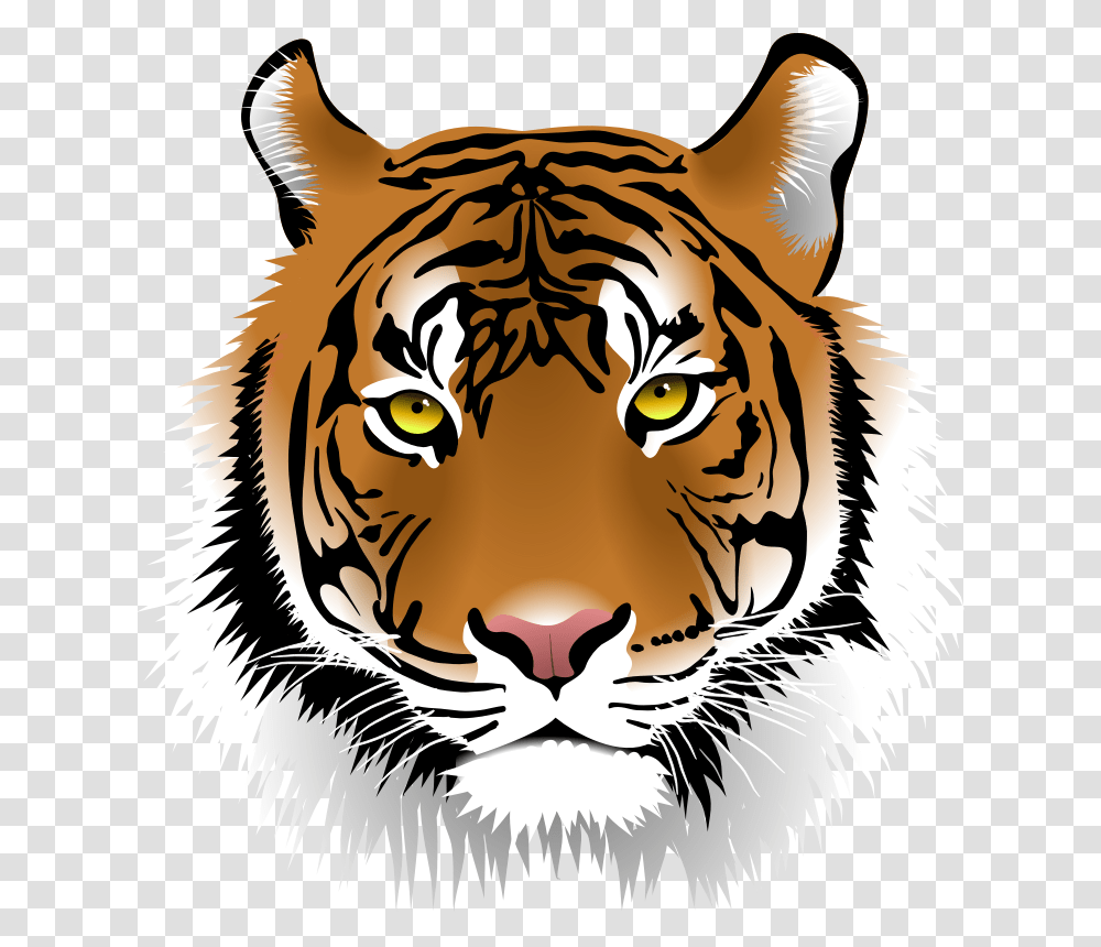Tiger Head, Wildlife, Mammal, Animal Transparent Png
