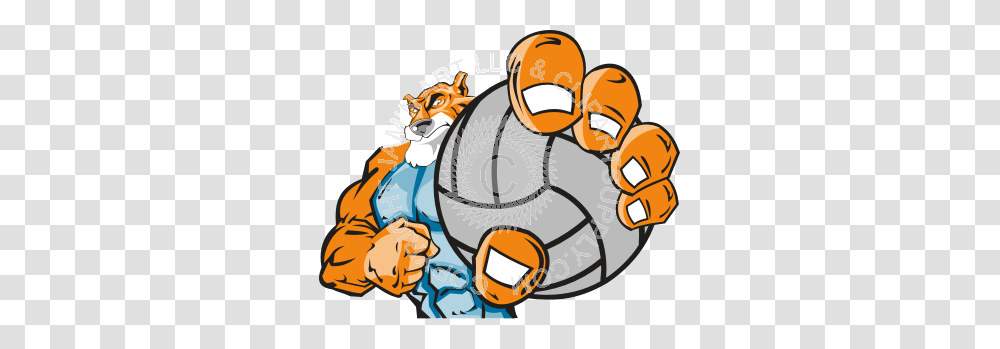 Tiger Holding Volleyball, Outdoors, Animal, Nature, Face Transparent Png