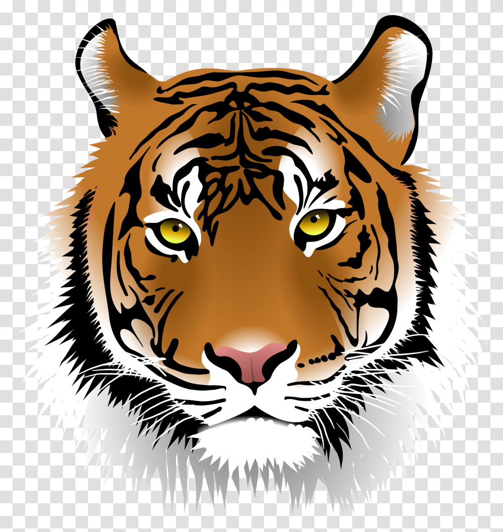 Tiger Image Download, Wildlife, Mammal, Animal Transparent Png